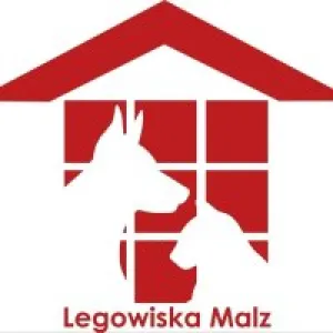 legowiska.jpg